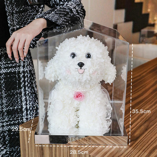 VBEINGS花语 童梦系列 汪星人的告白 永生花泰迪马尔济斯狗狗玫瑰花礼盒生日送女友礼物摆件 商品图3
