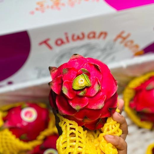 蜜宝（只） 商品图2