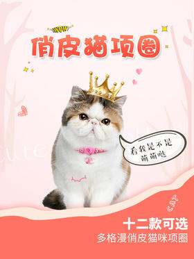 catty man 灵巧猫项圈