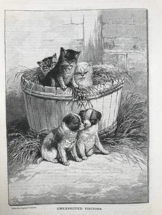1892年 家语杂志 约百幅精美插图 漆布精装16开 商品图14