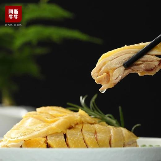 【比公鸡嫩，比母鸡香】大凉山喜德阉鸡，肉质鲜嫩，香味浓郁（不含内脏） 商品图4
