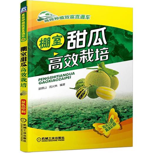 棚室甜瓜高效栽培 商品图0