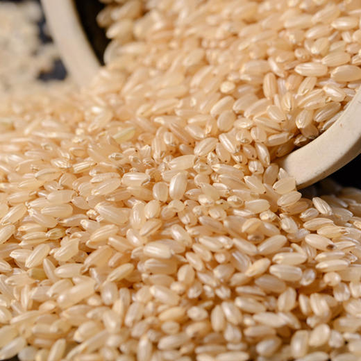 滇藏源牌糙米400g/袋 商品图2