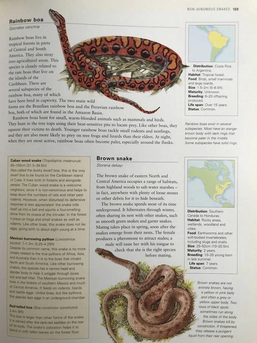 美国动物图解百科全书 900余幅彩色插图 精装大16开 商品图12