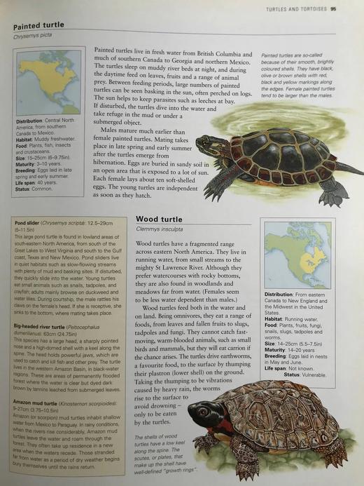 美国动物图解百科全书 900余幅彩色插图 精装大16开 商品图14