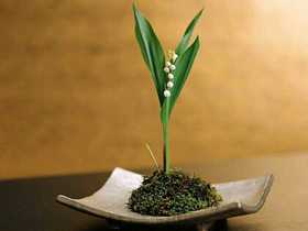 闲坐终南—艺术演绎式解读身体