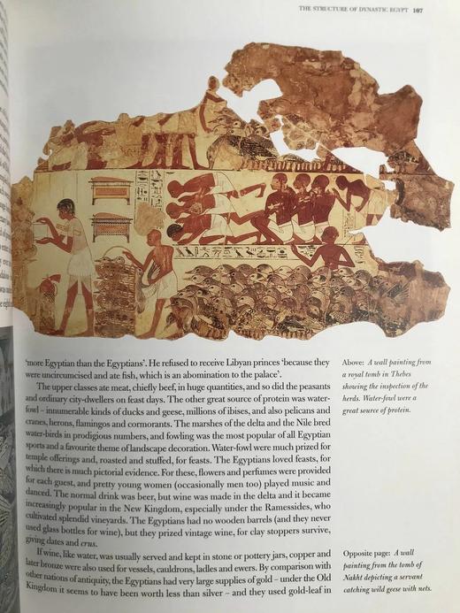 保罗·约翰逊《古埃及文明》 150幅彩色插图 精装16开 商品图10