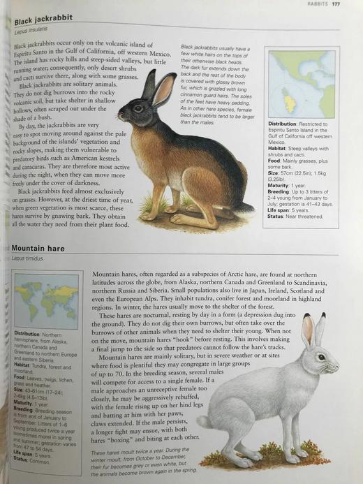 美国动物图解百科全书 900余幅彩色插图 精装大16开 商品图9