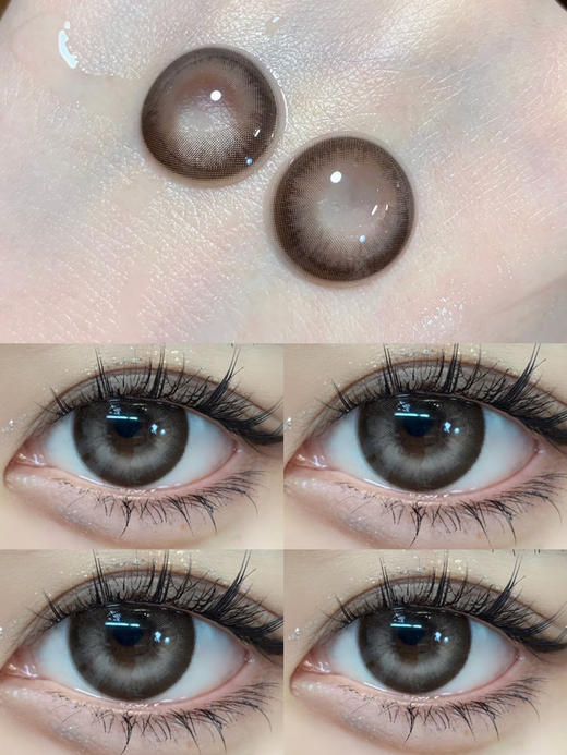 【大直径】Lvycon-泰迪褐-14.5mm【年抛 仅0/100/150/425/650/950度有货】 商品图11