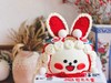 年兔造型款 商品缩略图2