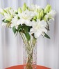 【周四秒杀】日本重瓣百合2枝49.8元 商品缩略图0