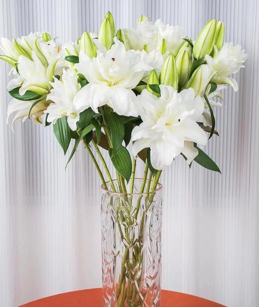 【周四秒杀】日本重瓣百合2枝49.8元 商品图0