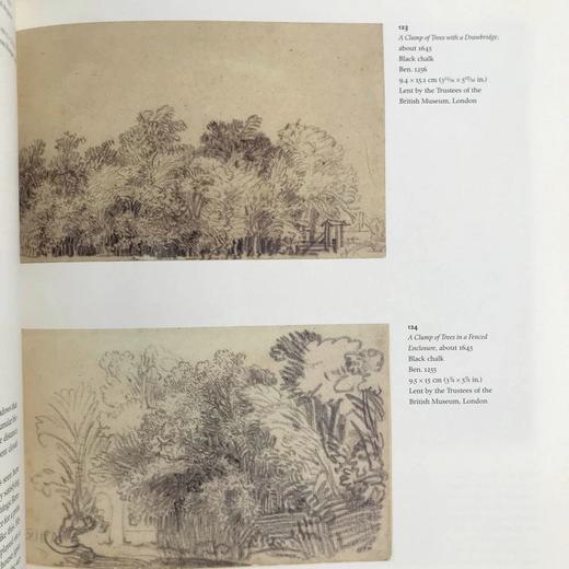 伦勃朗之旅 数百幅插图 精装16开 商品图6