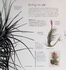 【中商原版】植物科学 The Science of Plants 英文原版 DK 百科 科学 生物 科普 通识 树木 花卉 商品缩略图8