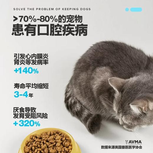 再三一次性口腔清洁指套 商品图3