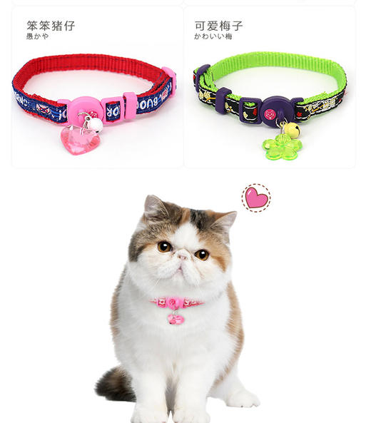 catty man 灵巧猫项圈 商品图1