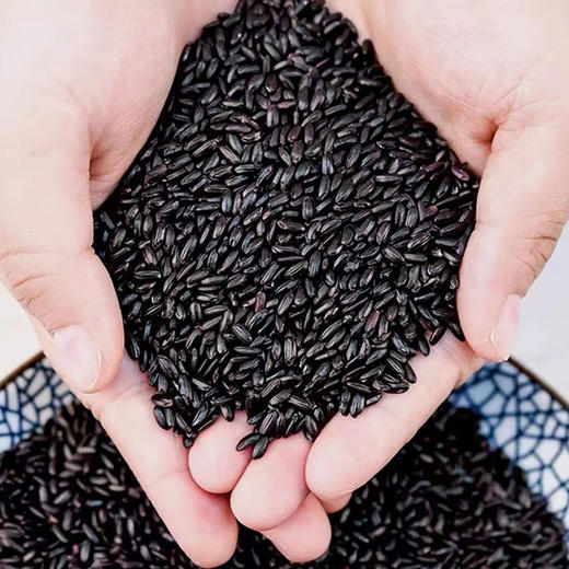 滇藏源牌黑米1000g/袋 商品图2