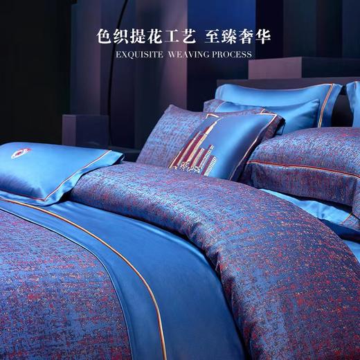【6F】寐埃及长绒棉色织提花四件套：摩登夜色 商品图4