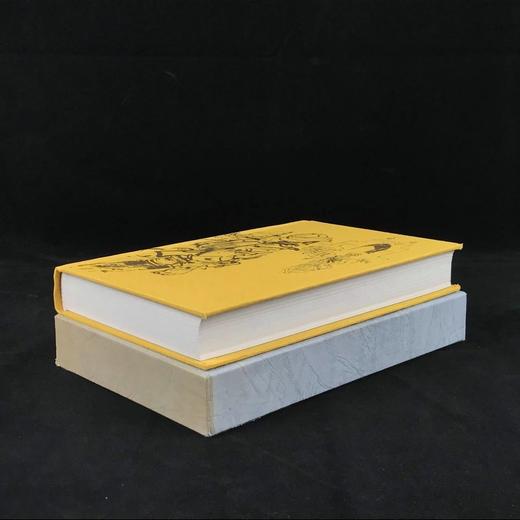 吉卜林二十一则故事集（1972） 14幅插图 精装大32开带书匣 商品图1