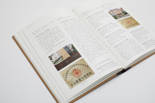 上海千年书法图史·当代卷 | 主编 张伟生 副主编 曾明 杨永健 周卫 | 上海书画出版社 商品图11