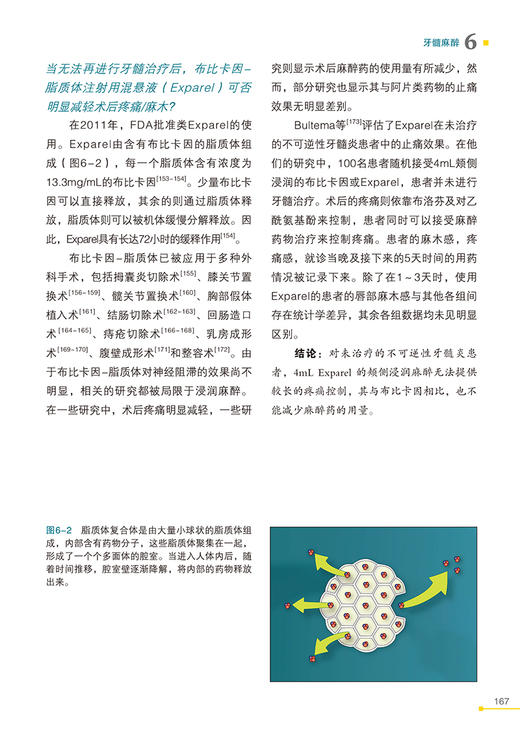 口腔局部麻醉精要 第2版 针对牙髓治疗和针对治疗 徐礼鲜主译 口腔外科手术诊疗麻醉辅助技术方法辽宁科学技术出版社9787559121127 商品图3