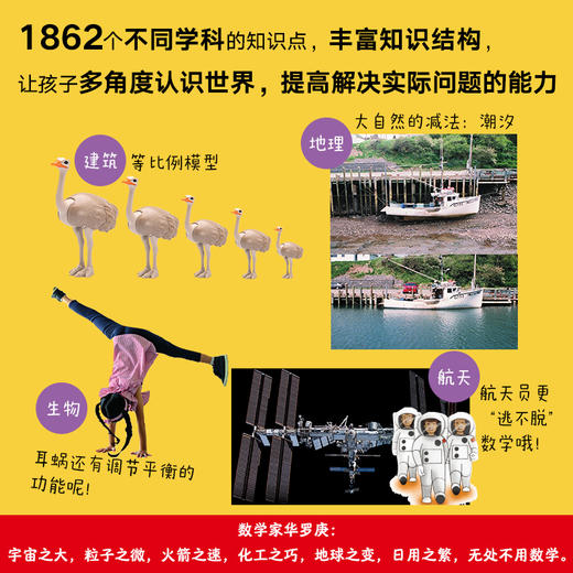 一起探索数学世界吧 商品图4