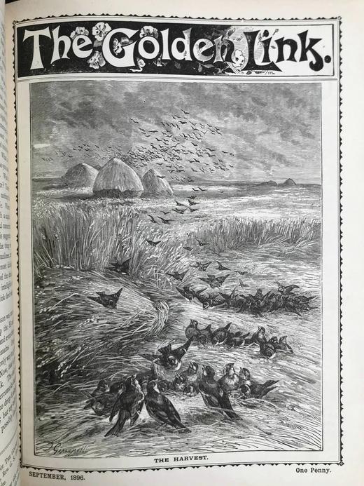 1896年 金桥杂志 约百幅精美插图 漆布精装16开 商品图8