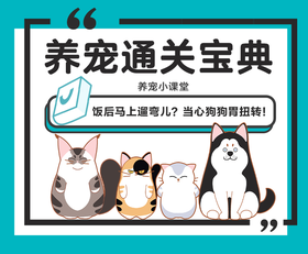 饭后马上遛弯儿？当心狗狗胃扭转！