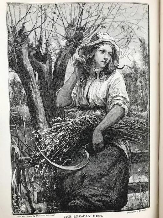 1892年 家语杂志 约百幅精美插图 漆布精装16开 商品图13