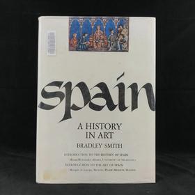西班牙艺术史 数百幅插图 精装大16开
