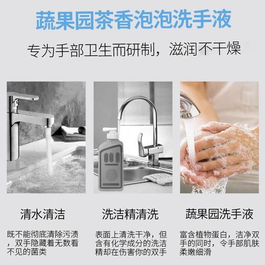 【蔬果园茶香泡泡洗手液】泡泡按压泵设计  泡沫洁白绵密  山茶味清香扑鼻  易冲洗  500ml*3瓶（只配送两个2个泵头） 商品图2