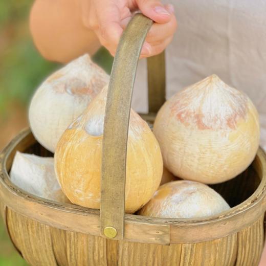 泰国进口奶香椰皇 商品图1