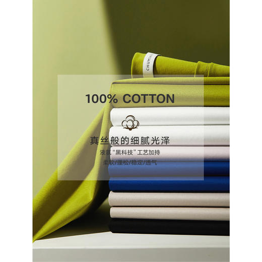 【两件起拍，单件不发】342601005初棉60s液氨白色短袖正肩T恤女春夏丝光棉纯棉打底衫 商品图2