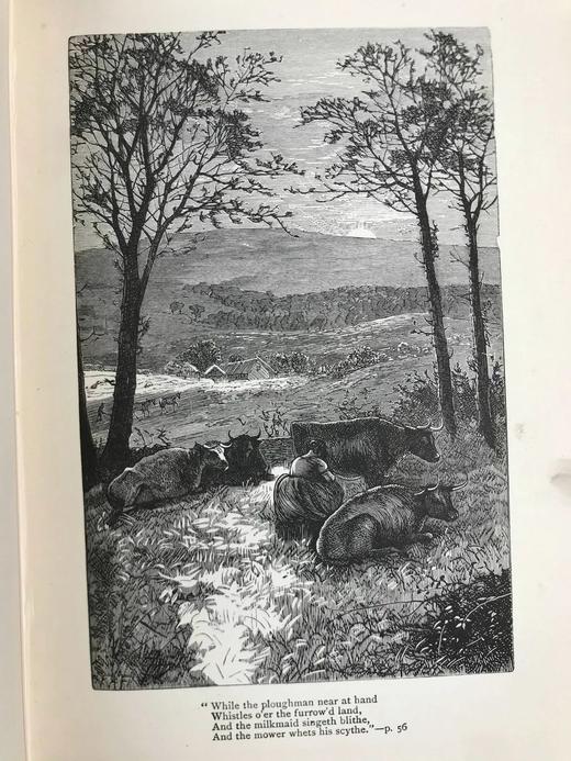 1896年 弥尔顿诗集 约8幅插图 漆布精装32开 商品图13