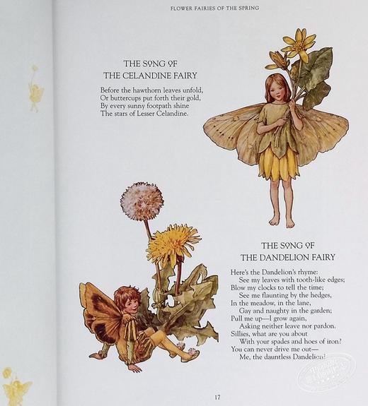 预售 【中商原版】西西莉 玛丽 巴克 花仙子全套 英文原版 The Complete Book of the Flower Fairies Cicely Mary Barker 商品图6