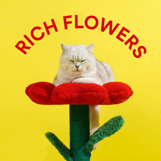 zeze有钱花盆栽宠物屋-B（包邮） 商品图3