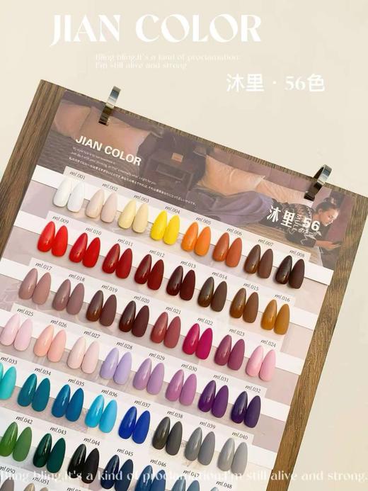 【秒杀价】COLOR沐里 56色 商品图2