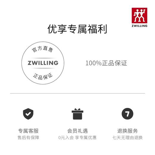 【德国双立人削皮刀】TWINProf剥皮刀不锈钢水果蔬菜削皮器家用多功能削皮刀 商品图5