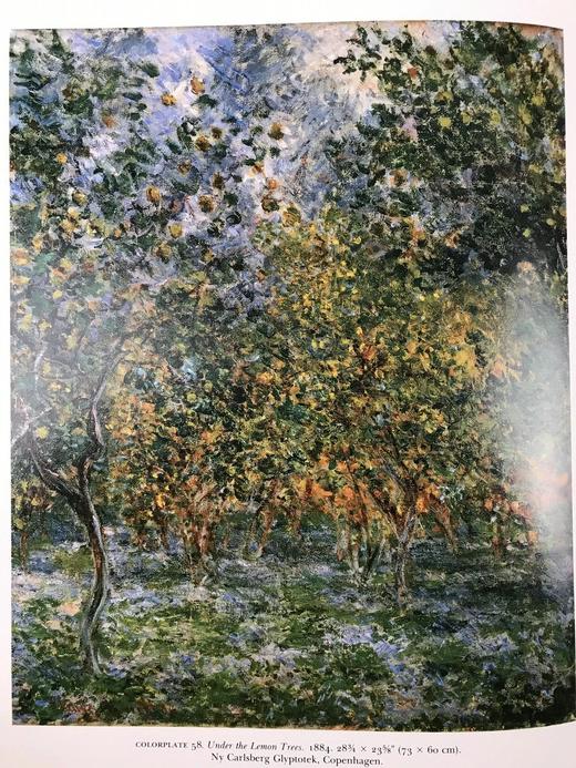 追忆莫奈 132幅彩色与119幅黑白插图 精装大16开 商品图10