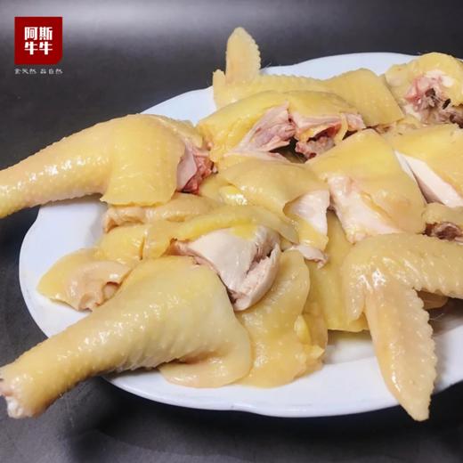 【比公鸡嫩，比母鸡香】大凉山喜德阉鸡，肉质鲜嫩，香味浓郁（不含内脏） 商品图3