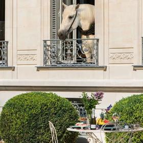  【优雅】精选品质香槟，唤醒你的心动频率 