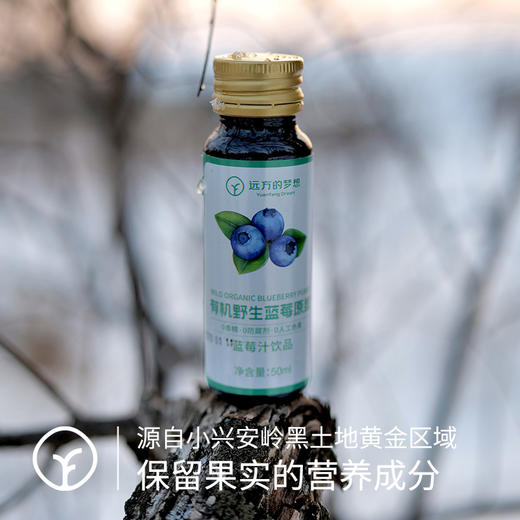 【限时活动:买多更省】小兴安岭 √有机野生蓝莓原浆丨富含花青素 抗氧化，保护视力 商品图2