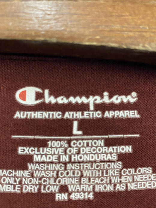 Champion 冠军 明尼苏达大学金地鼠队 长袖T恤 _SLT(L) 商品图2