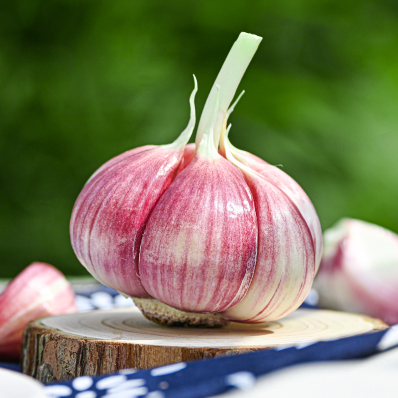 云南紫皮多瓣蒜（新鲜大蒜）