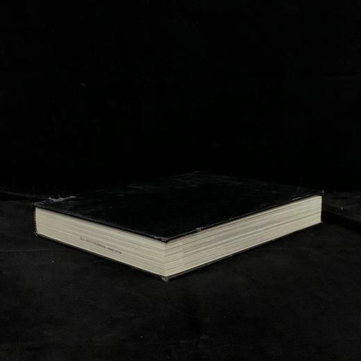 美国建筑图史 数百幅插图 精装大16开 商品图1