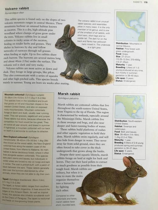 美国动物图解百科全书 900余幅彩色插图 精装大16开 商品图8