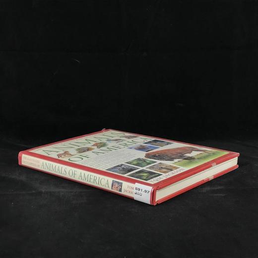 美国动物图解百科全书 900余幅彩色插图 精装大16开 商品图1