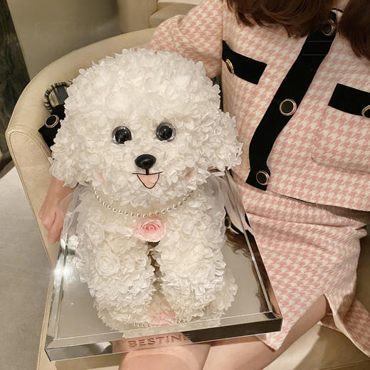 VBEINGS花语 童梦系列 汪星人的告白 永生花泰迪马尔济斯狗狗玫瑰花礼盒生日送女友礼物摆件 商品图1