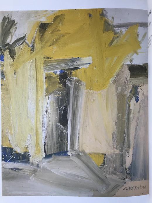 惠特尼美国艺术博物馆藏品图集 约百幅彩色插图 精装大16开 商品图10