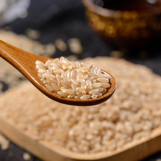 滇藏源牌糙米400g/袋 商品图1